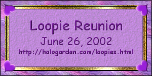 Loopie Reunion